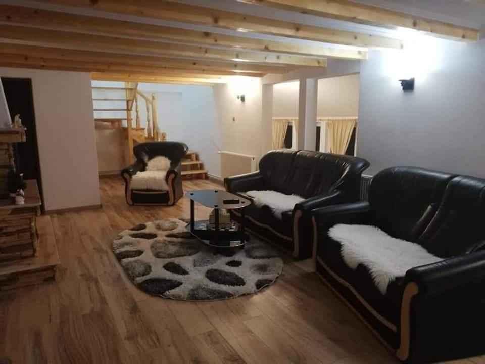 Casa Anghel Villa Bilbor Eksteriør billede