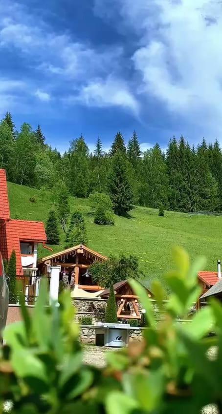 Casa Anghel Villa Bilbor Eksteriør billede